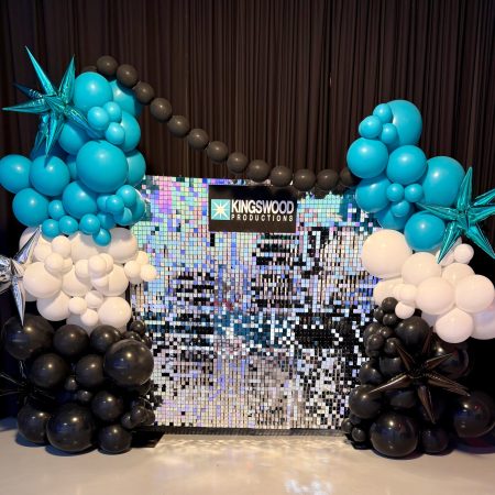 Silver Shimmer Backdrop Rental